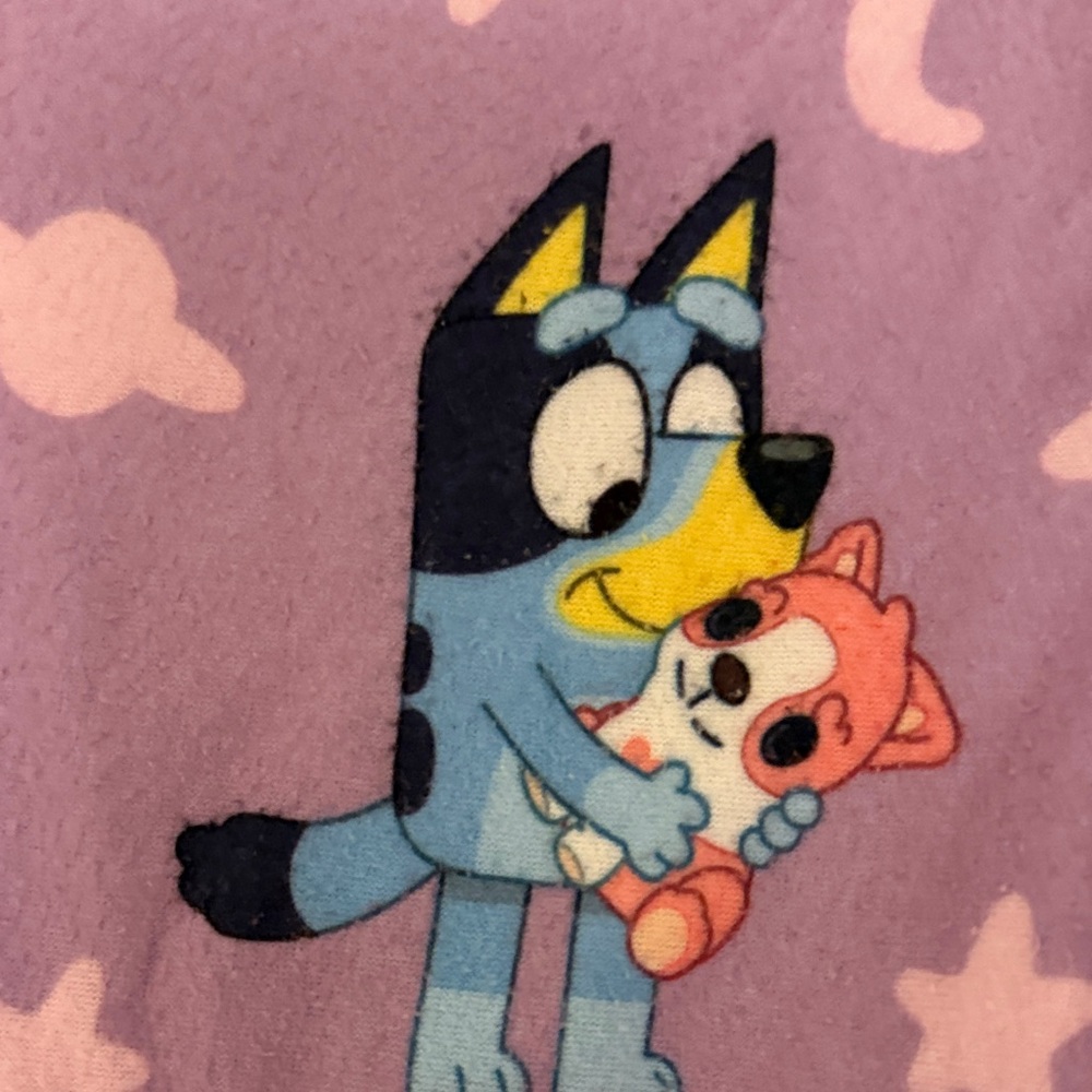 Bundle of Cozy Girls Nightgowns - Bluey and Frozen Anna and Elsa! Today only! - Picture 4 of 15